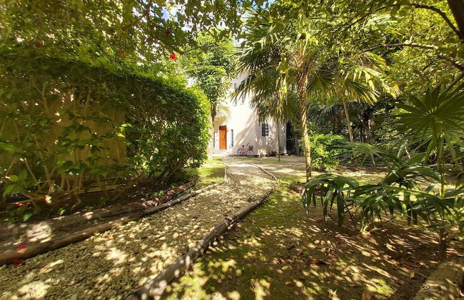 Mini Pini Birdwatching and Cenote Loft4 you Only - Foto 53