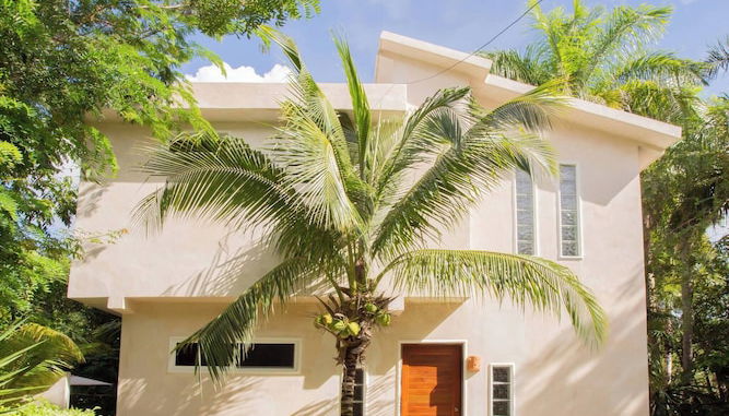 Photo 1 - Mini Pini Birdwatching and Cenote Loft4 you Only