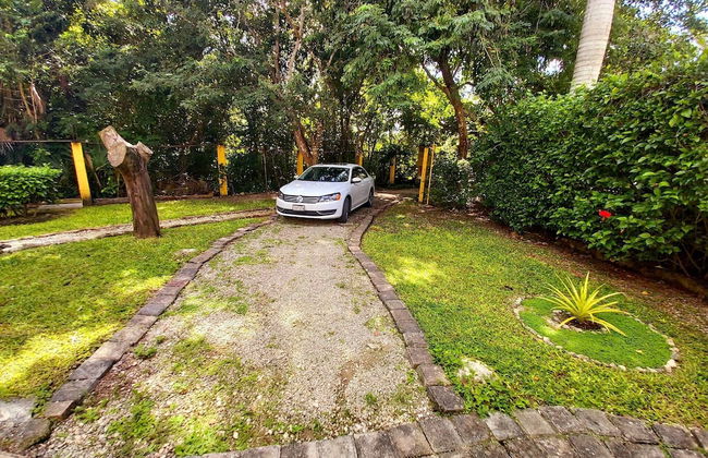 Mini Pini Birdwatching and Cenote Loft4 you Only - Foto 45