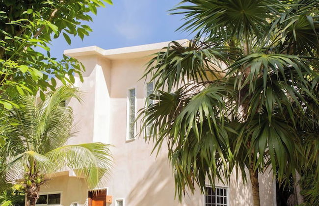 Mini Pini Birdwatching and Cenote Loft4 you Only - Foto 63