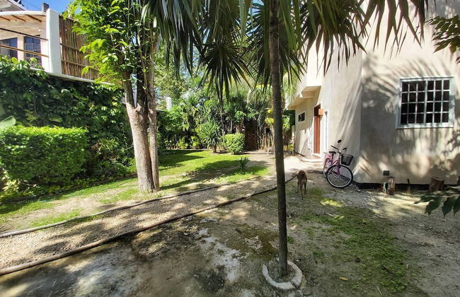 Mini Pini Birdwatching and Cenote Loft4 you Only - Foto 44