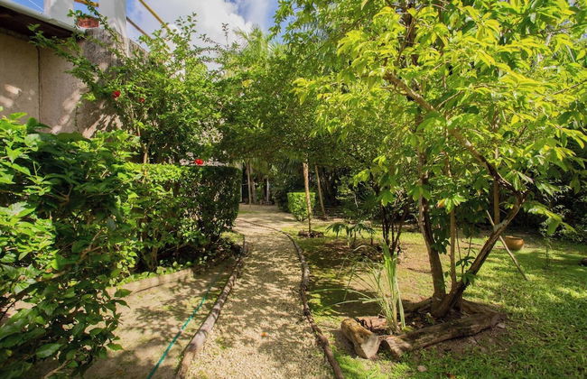 Mini Pini Birdwatching and Cenote Loft4 you Only - Foto 42