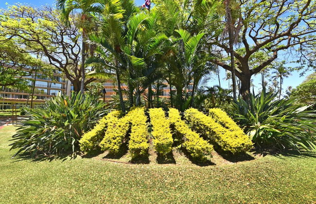 Maui Kaanapali Villas by KBM - Foto 76
