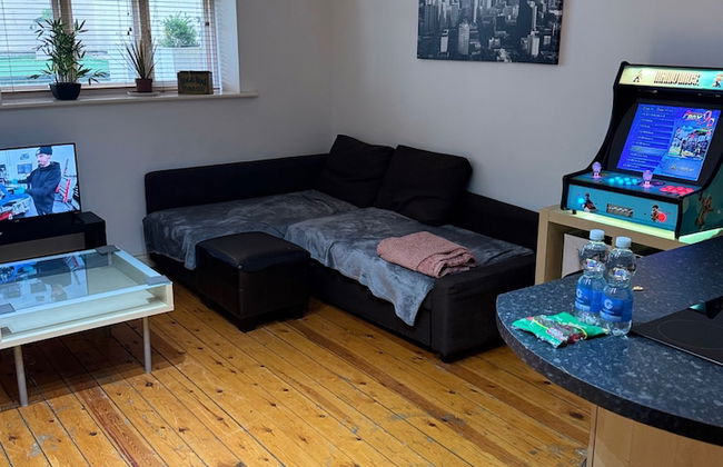1br-wifi-freesnacks-freeparking-petsok-retroarcade - Foto 4