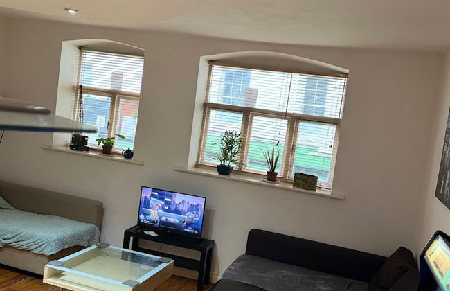 1br-wifi-freesnacks-freeparking-petsok-retroarcade - Foto 6