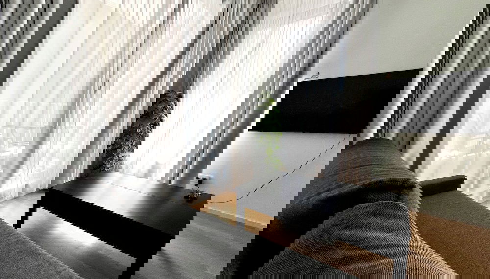 Image principale