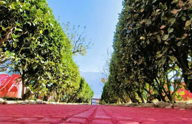 Manali Heart Villa - Photo 15