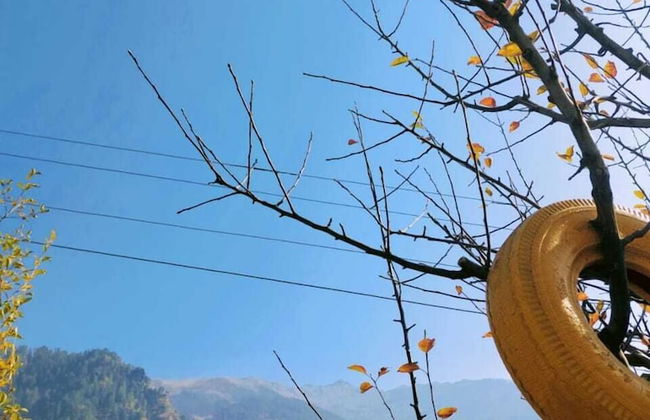 Manali Heart Villa - Photo 13