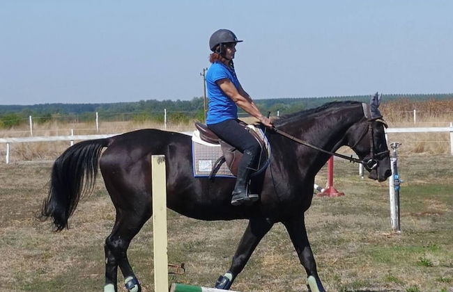 ESCUS HORSES - Photo 15