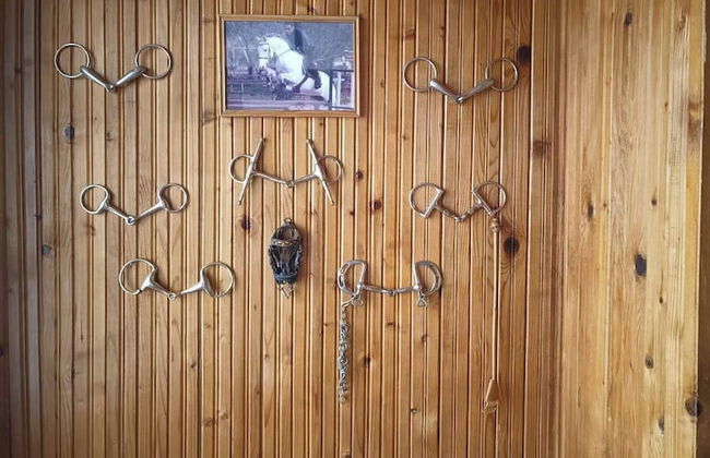 ESCUS HORSES - Photo 25