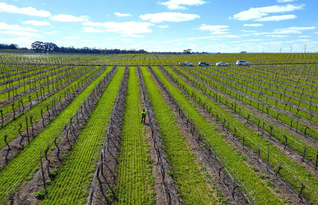 Furche Barossa Vineyard & Fireplace - Foto 20
