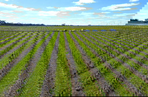 Foto 20 - Furche Barossa Vineyard & Fireplace