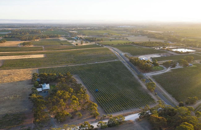 Furche Barossa Vineyard & Fireplace - Foto 22