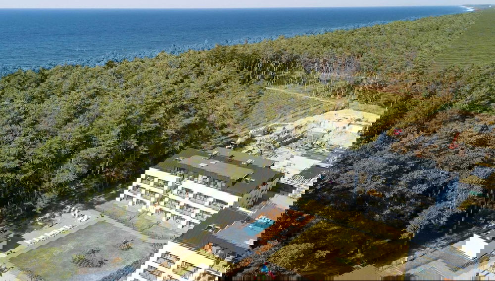 Image principale