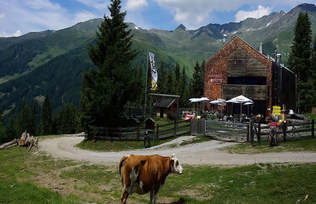 Apartment in Navis Near Stubai Glacier - Foto 25