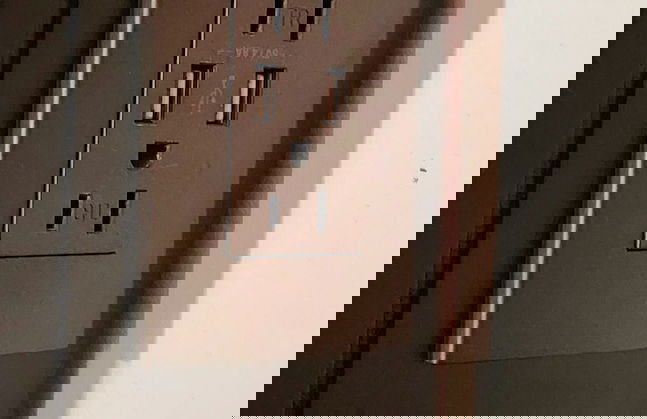 Aloha Sunzal - Photo 4