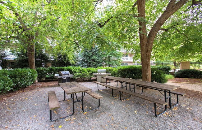 Spacious 2BR Apartment in Crystal City - Foto 46