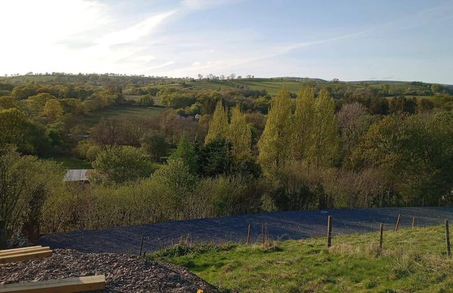 Llandovery - Cottage - Sleeps4 - Parking Secure Lock up for Bikes - Foto 17