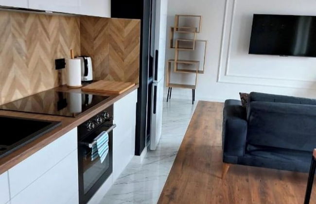 Inviting 1-bed Apartment in Lebork - Foto 1