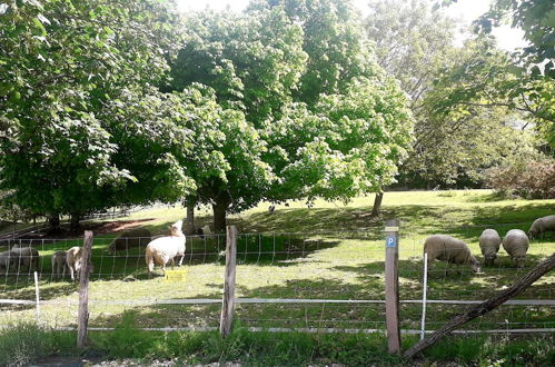 Photo 43 - Les Gîtes de Petrocoriis