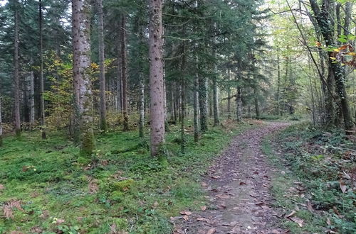 Photo 80 - Les Gîtes de Petrocoriis