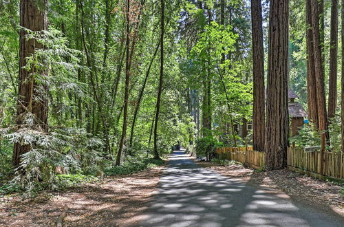 Photo 29 - Quiet Cottage w/ Redwood Forest Views & Deck