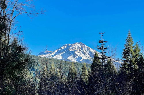 Photo 23 - Mccloud Cabin w/ 3.5 Miles of Private Hiking