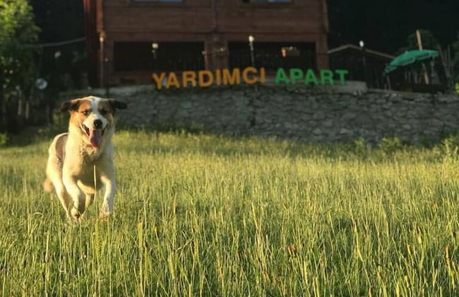 Ayder Yardımcı Apart - Foto 24