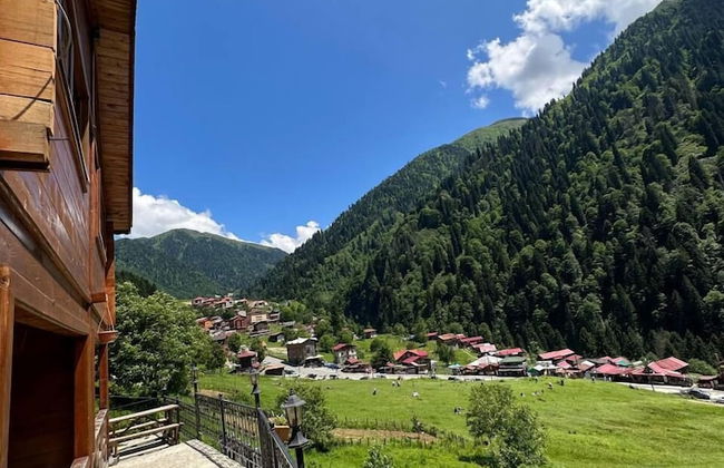Ayder Yardımcı Apart - Foto 34