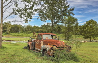 Foto 2 - Peaceful Pet-friendly Franklin Cottage on 15 Acres