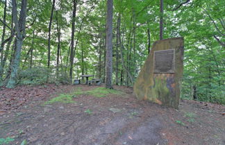 Photo 2 - Coalmont Cabin < 10 Miles to Hiking & Fishing