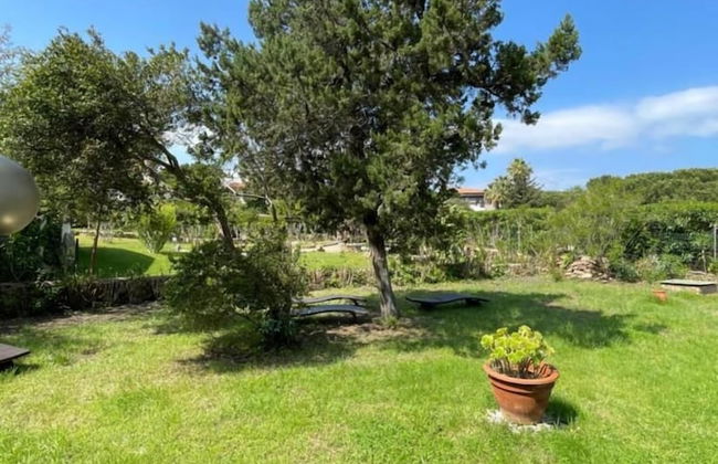 Le Dimore di Villa del Sole 8 Posti Letto Vista Mare - Photo 15