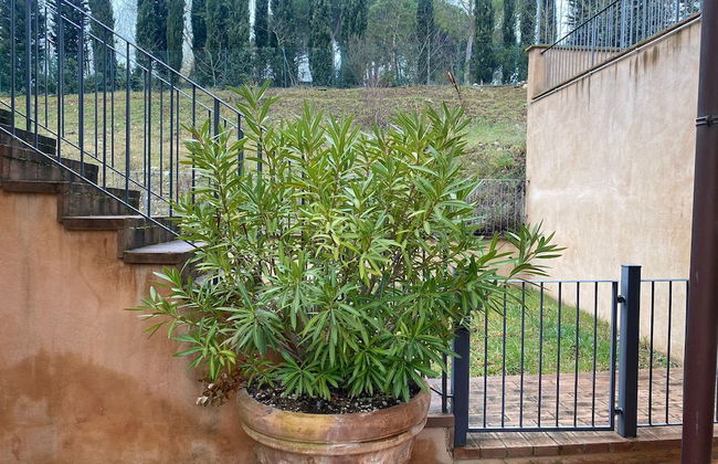 Casa di Emilio - Foto 21