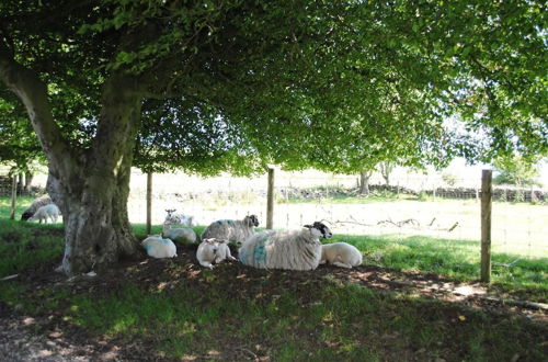 Foto 54 - Brambles Farm Peak District Escape