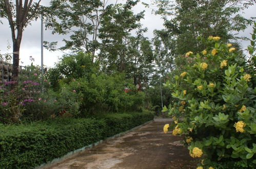 Foto 41 - Kampot Nature Villa Resort