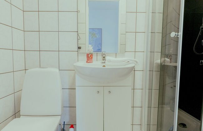 1 Bedroom Apartment | Central | Tórshavn - Photo 9