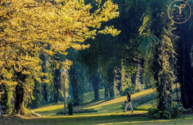 Armin Homestay Ecopark - Foto 12