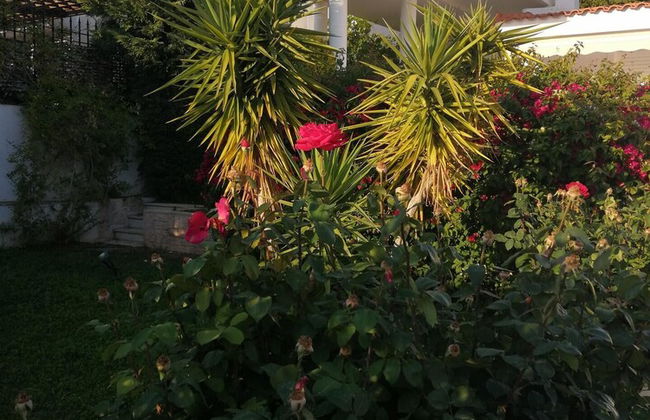 Charming 3-bed Villa in Sounio - Foto 15