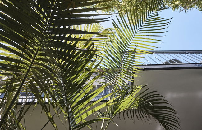 Ballantyne at Mosman Serviced Apartment - Foto 40