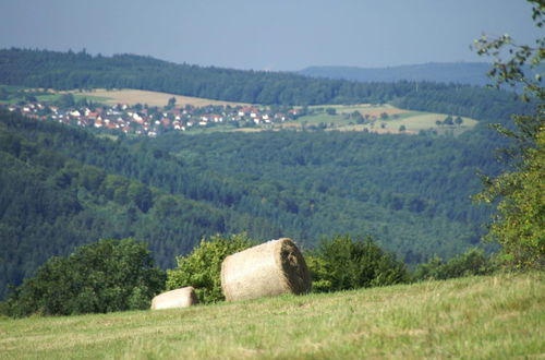 Photo 27 - Detached, Tidy Bungalow on Katzenbuckel Mountain