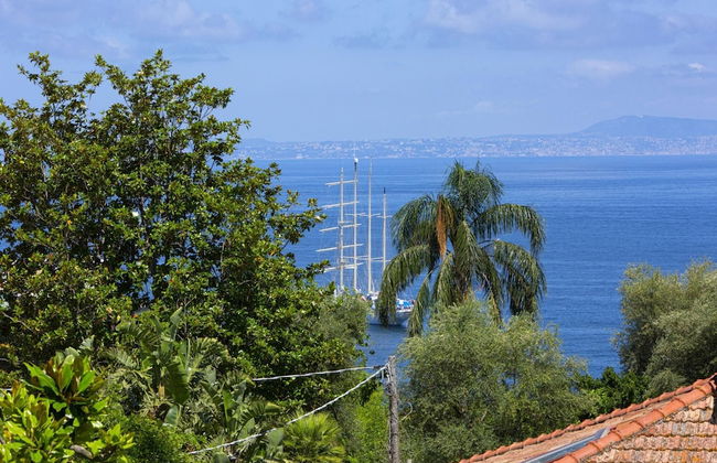 Villa Flavia in Sorrento - Photo 48