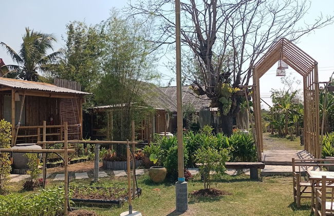 Bamboo Conservation Farm - Foto 72