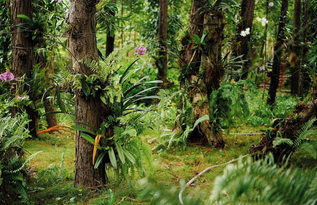 Suoi Rao Ecolodge - Photo 21