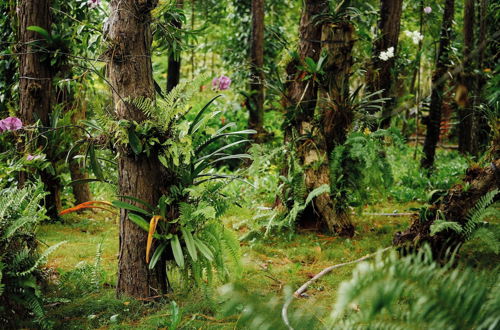 Photo 21 - Suoi Rao Ecolodge