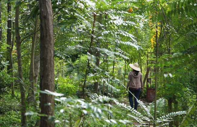 Suoi Rao Ecolodge - Photo 20