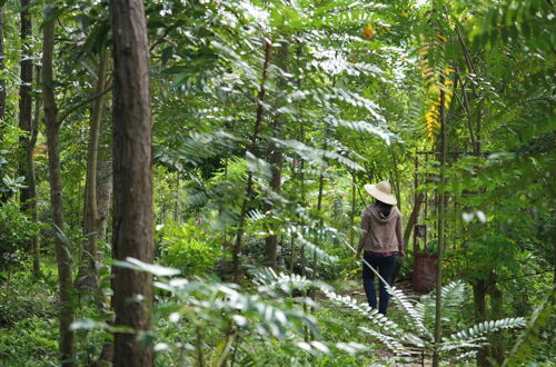 Photo 20 - Suoi Rao Ecolodge