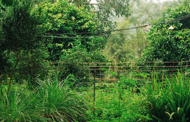 Suoi Rao Ecolodge - Photo 22