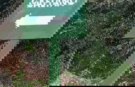 Rincón De Gaetano - Foto 1