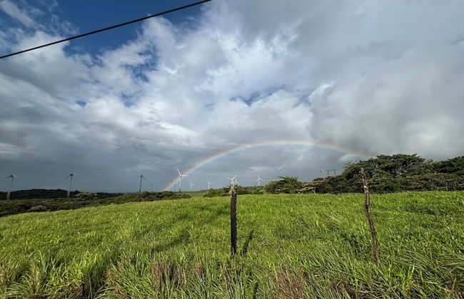 Rincón De Gaetano - Foto 34
