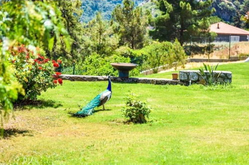 Photo 12 - Greenery Home With Shared Pool in Marmaris